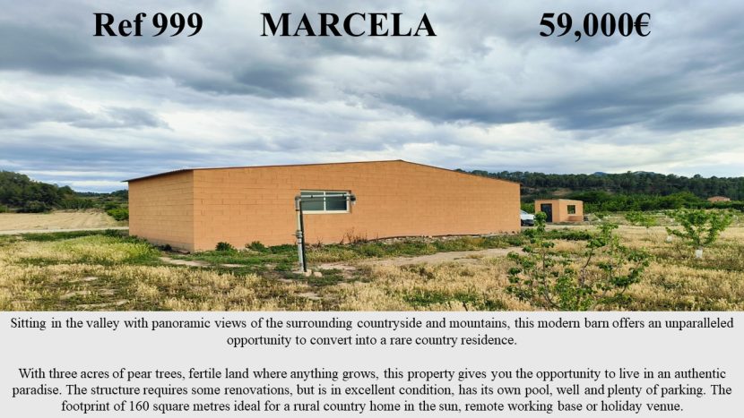 899 Marcela