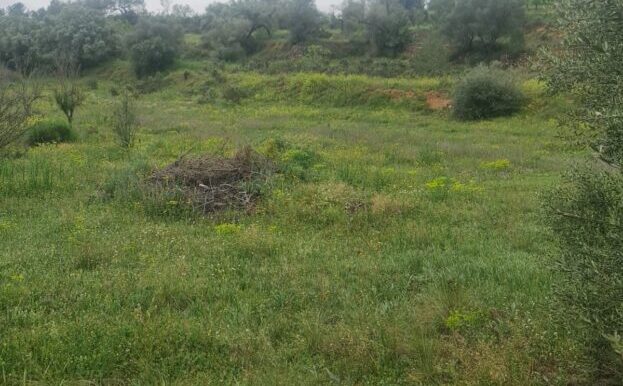 WhatsApp Image 2025-04-14 at 12.20.32_22dd1f20